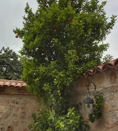 Castle Apartment Antalya